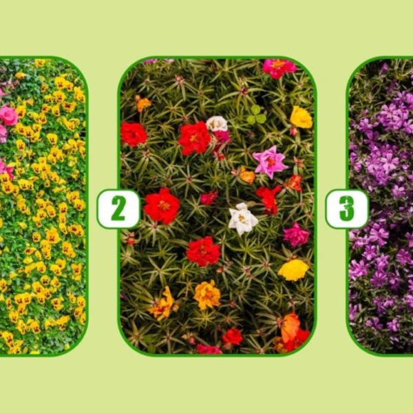 Test de Personalidad: ¿Es tu vida lo que siempre soñaste? ¡Descúbrelo eligiendo un arbusto con flores!