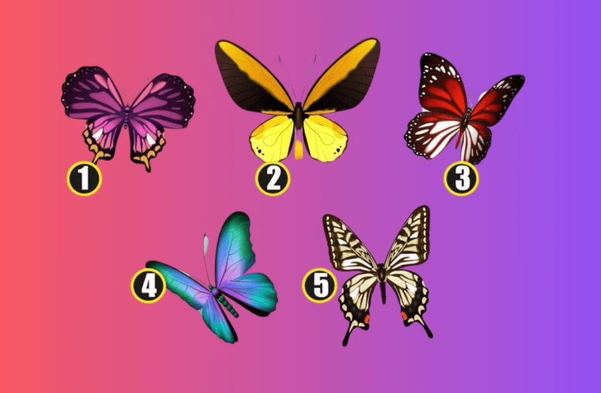¡Elige una mariposa y revela tu sueño oculto a través de este test de personalidad!